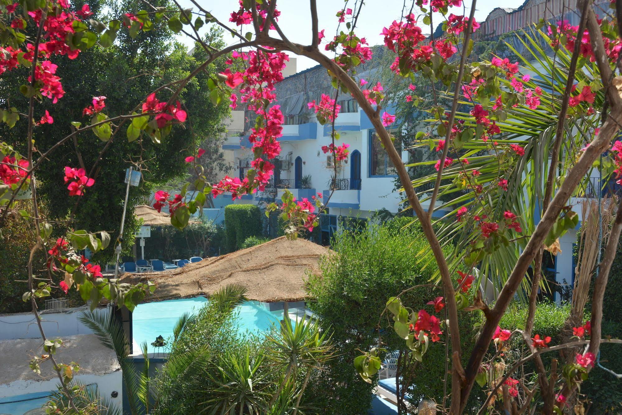 Hotel El Gezira Luxor