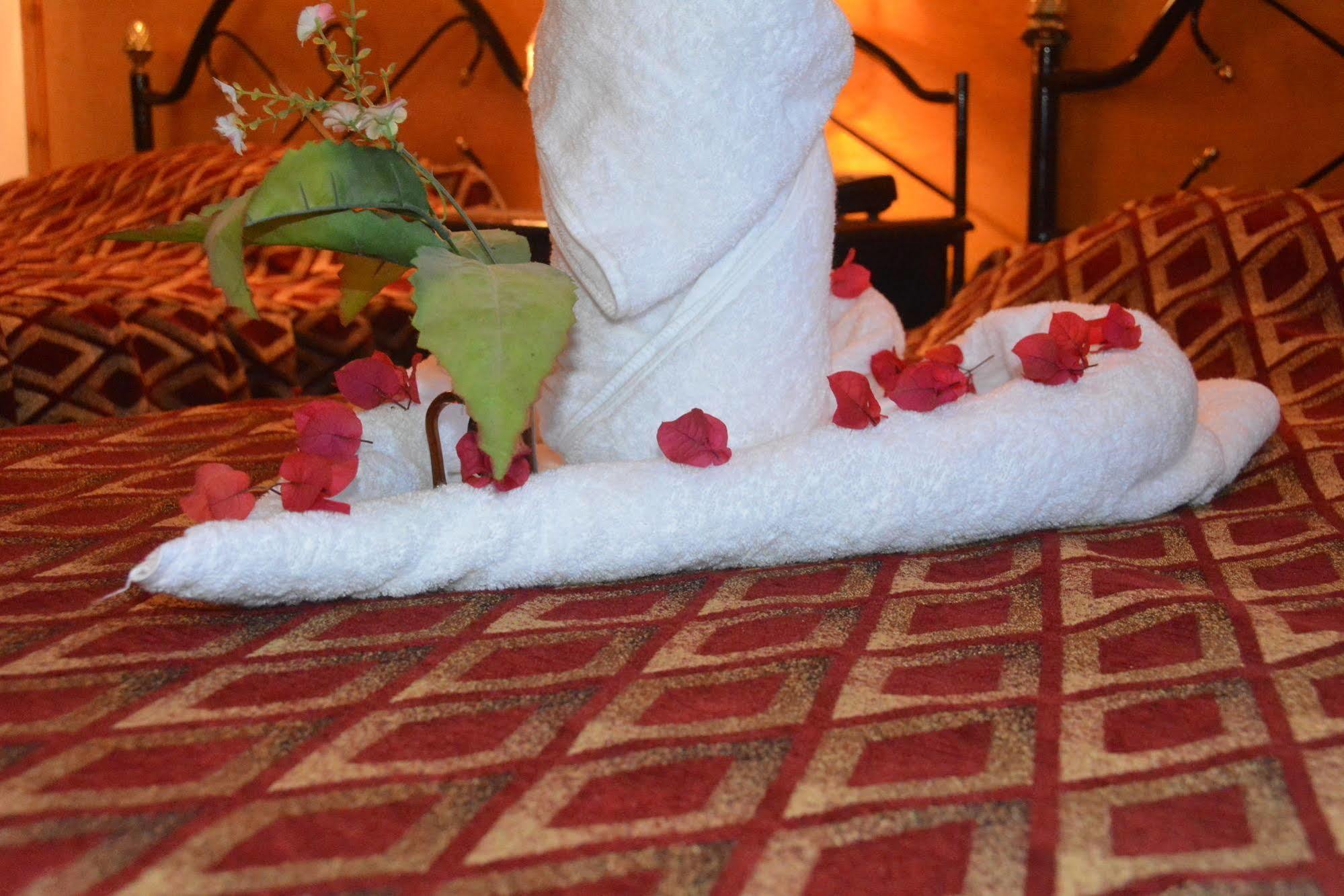 Hotel El Gezira Luxor